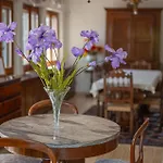 Gorgeous In * Offida